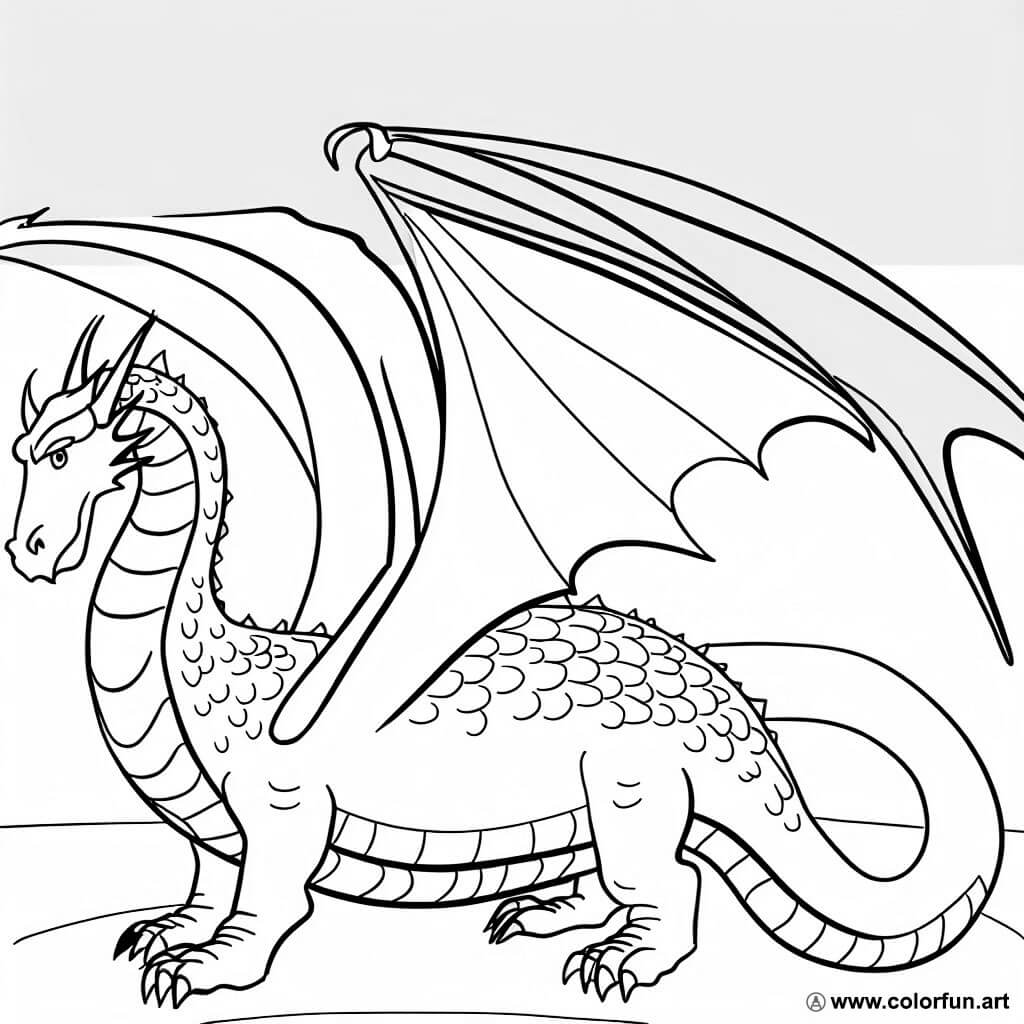 coloriage dragon médiéval